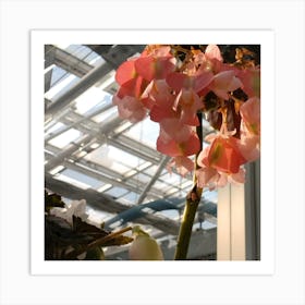 Pink Flowers In A Greenhouse Art Print