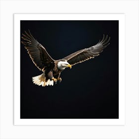 Bald Eagle In Flight Art Print