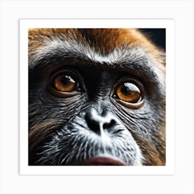 Close Up Of A Monkey 6 Art Print