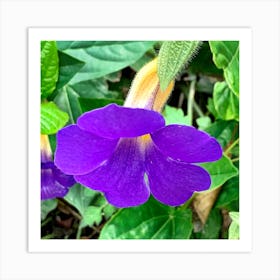 Purple Vine Img 6077 Art Print