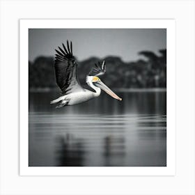 Pelican skipping the water Art Print