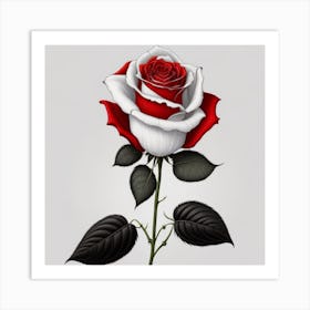 Red And White Petals Rose myluckycharm Art Print