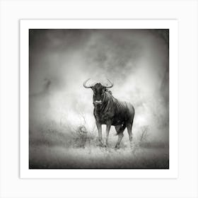 Wildebeest Art Print