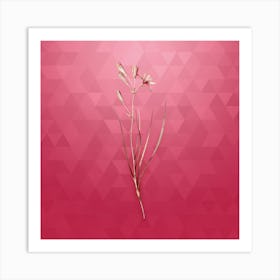 Vintage Amaryllis Montana Botanical in Gold on Viva Magenta n.0281 Art Print