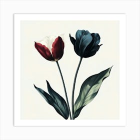 Two Tulips Art Print