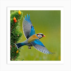 Bird In Flight 14 Art Print