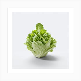 Lettuce Art Print