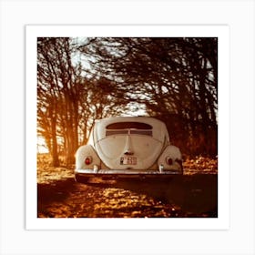 Vw Beetle Art Print