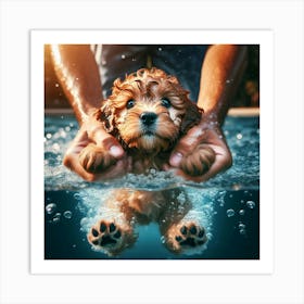Puppy In The Pool Art Print