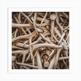 Elk Antlers Square Art Print