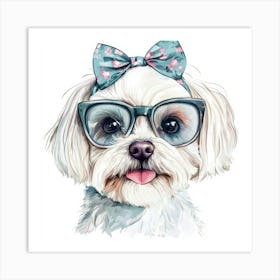 Shih Tzu 14 Art Print