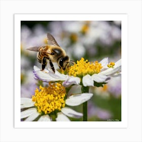 Bee On Daisy Art Print