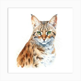 Bengal Marbled Cat Portrait 1 Art Print