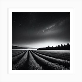 Night In The Field Art Print