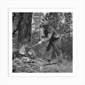 Grant County, Oregon, Malheur National Forest, Lumberjack Starting The Undercut By Russell Lee Art Print