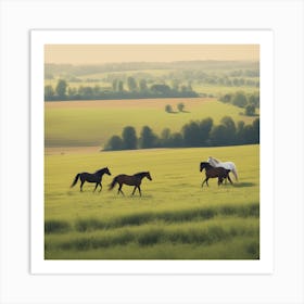 Horses In A Field Photo Art Print