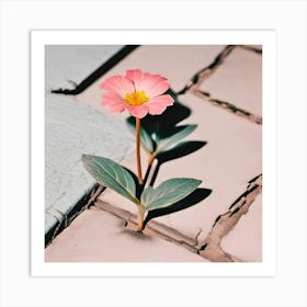 Flower In The Cracks Art Print