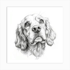 Cocker Spaniel 3 Art Print