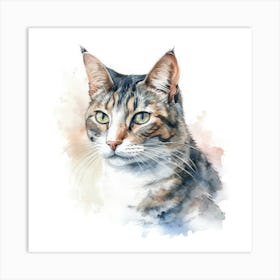 Aegean Cat Portrait 2 Art Print