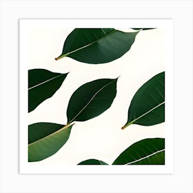 Green Leaves On A White Background Art Print