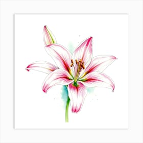 Pink Lily 9 Art Print