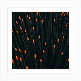 Black And Orange Flames Art Print