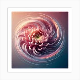 Chrysanthemum flower Art Print