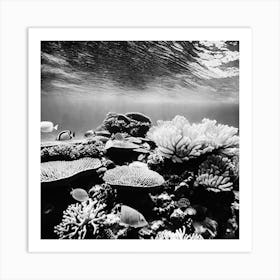 Black And White Coral Reef 2 Art Print