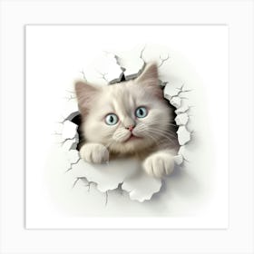 Ragdoll Peeking Through A Hole 3 Art Print