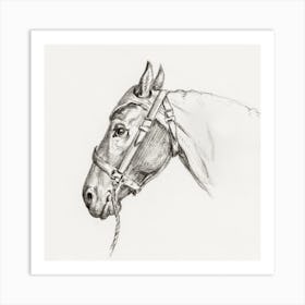 Head Of A Horse 2, Jean Bernard Art Print