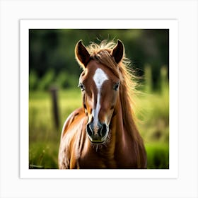 Grass Horse Mammal Animal Head Steady Offspring Beauty Riding Horse Mare Dam Cute Streng (1) Art Print