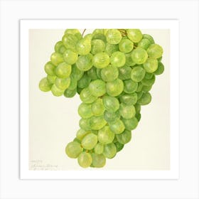 Bunch Of Grapes Art Print