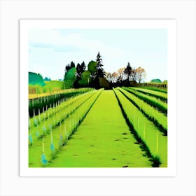 Vineyard Field Art Print