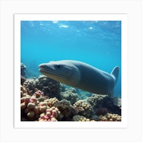 Eel Stock Videos & Royalty-Free Footage Art Print