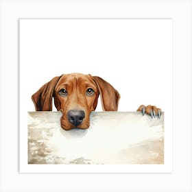 Dachshund Dog 7 Art Print