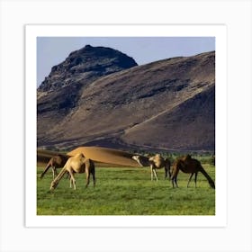 Camels In The Desert Art Print