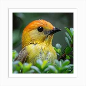 Yellow Crowned Kingfisher Art Print