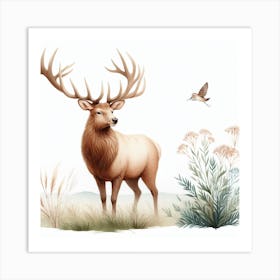 Elk 3 Art Print