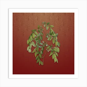 Vintage Jujube Botanical on Falu Red Pattern n.2108 Art Print