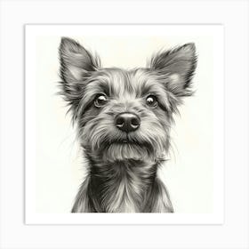 Australian Terrier 2 Art Print