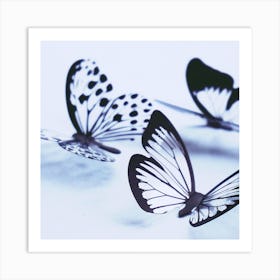 Black And White Butterflies Art Print