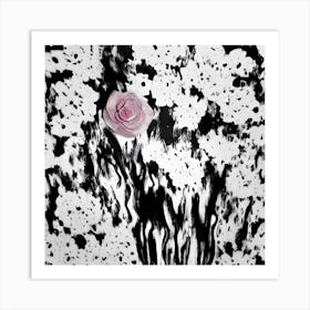 Rose In Black And White Art Print