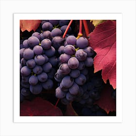 Purple Grapes 2 Art Print