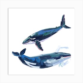 Humpback Whale 05 Art Print