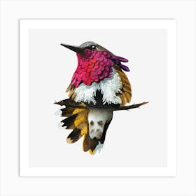 Hummingbird 4 Art Print