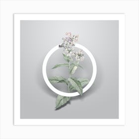 Vintage White Gillyflower Bloom Minimalist Floral Geometric Circle on Soft Gray n.0559 Art Print