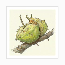 Acorns 1 Art Print