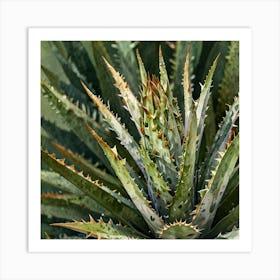 Leonardo Lightning Xl Watercolor Art A White Aloe Plant With G 2 Art Print