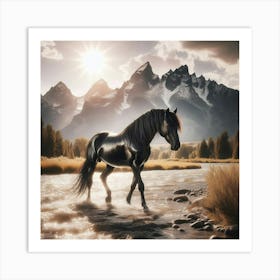 Black Stallion 1 Art Print