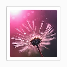 Pink Light through Dandelion  Art Print